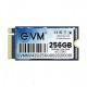 EVM 256GB NVMe PCIe Gen3x4 M.2 2242 SSD (Solid State Drive)
